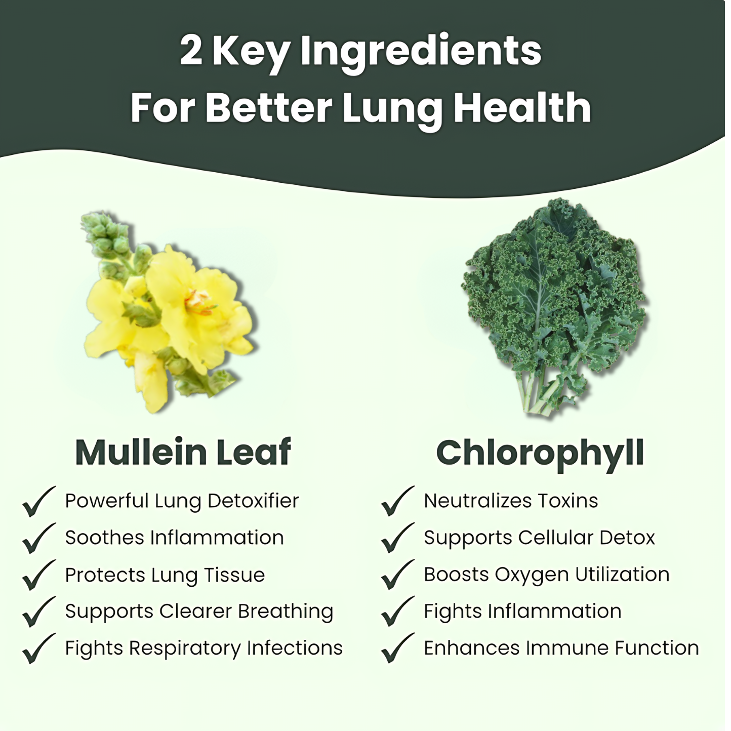 Novex™ Lung Elixir